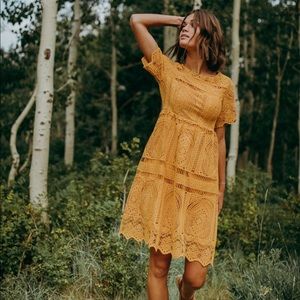 Piper and Scoot L Chenoa Lace Dress in Mustard
